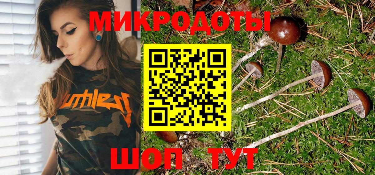 Галлюциногенные грибы Magic Shrooms  хочу наркоту  Россия  Вход с VPN 