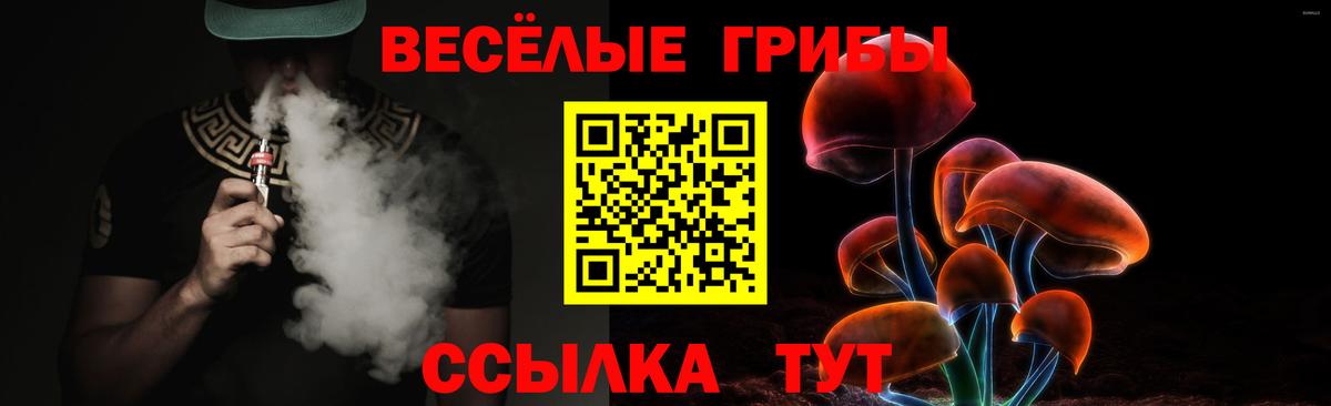 Галлюциногенные грибы MAGIC MUSHROOMS Россия